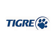 Tigre